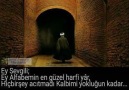 Şems-i Tebrizi & Mevlana - Hz Mevlana