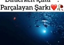 Sen Anlat Karadeniz Sevenleri le 9 fvrier