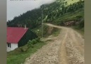 Sen beni gönlünce mutlumu sandınBende gulemedim yalan dünyada... GÜNAYDIN