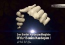 Sen Benim Kardeşim Değilsin O'dur Benim Kardeşim...