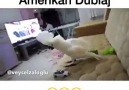 Senden pazartesi gününden bile daha çok nefret ediyorum