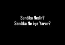 SENDİKA NEDİR? NE İŞE YARAR?