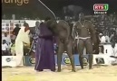 Senegal milli sporuymuş....İzleyelim