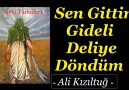 Sen Gittin Gideli Deliye Döndüm