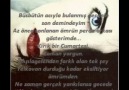 seni çok sevdim.