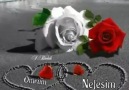 SENİ ÖZLEMEYİ ANCAK BEN BİLİRİM - GÖNÜL Vurgun YEDİ