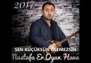 SEN KÜÇÜKSÜN ÖLEMEZSİN 2017..