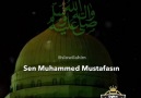 Sen Muhammed Mustafasın S.A.V