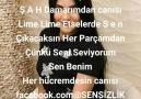 SENSİZLİK le Aujourdhui