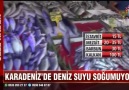 Serdar İpek - KARADENİZ&SULAR SOĞUMUYOR Facebook