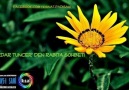 SERDAR TUNCER' DEN RABITA TARİFİ