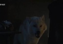 Ser Davos, Jon Snow'un bedenini koruyor! (S06E01 Sızdırılmış)