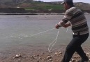 serpmeyle balık avı
