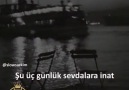 Serserice degil adam gibi seviyorum seni