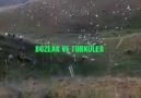 Sesine yüreğine sağlık kardeşim - Bozlak ve türküler