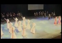 1--SEU--DAVLURI,miro