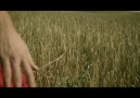 Sevcan Orhan-Arabım Fellahi
