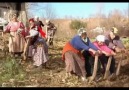 SEVDAGÜL - GÜNÜN BİRİNDE ( SENDE SOLACAKSIN )