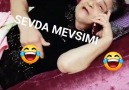 SEVDA mevsimi - Amca sen yapma bari