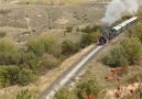 Sevdamız TCDD - Yaşayan Son Kara Trenimiz 56548