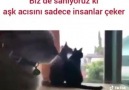 Sevdiğini bir başkasıyLa görünce Instagramdan Takip