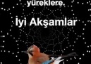 Sevdiklerinizle Geçen Huzur Dolu... - Hayırlı Akşamlar