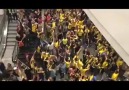 Sevdik Seni Her Şeyden Çok! Fenerbahçe...