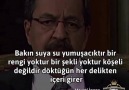 Sevdim bunu - İçi ağlerken yüzü gülen iyi insan&