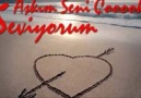 SEVDIM SENI MELEGIM