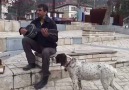 Sevemedim KARAGÖZLÜM "HOŞT"