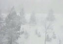 Severe blizzard conditions in Nova Scotia Canada right now!source jade0820