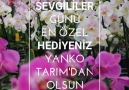 Sevgililer Günü en özel hediyeniz Yanko Tarım &olsun...