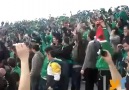 Sevgililer Günü  Sakaryaspor