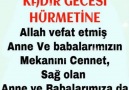 Sevgi PıNaRı Güz Gülleri