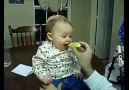 Sevimli bebeklerin limonla tanışma anları! :)
