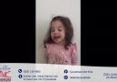 Sevimli dinozorlar sınıfı kanguruların yaşamını öğrendi