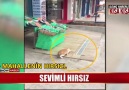 Sevimli hırsız