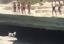 sevimli köpek'ten suya atlayış dersi! :)