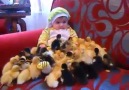 Sevimli ördekler minik bebeği yemeğe çalışıyor! İşte o görüntüler