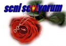 SEVİYORUM DİYECEĞİM