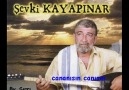 Şevki Kayapınar--Cananısın Canısın..