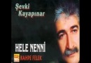 Şevki Kayapınar-- cevizin yapragı