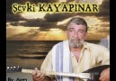 Şevki Kayapınar--ELa GöZLerini SevDİgiM Dİlber..