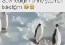 Sevmediğim birisine yapmak istediğim aynen bu diyenler beğensin D