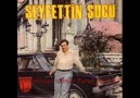 Seyfettin SUCU -- Şeftalıyı Şıtıl Ettim