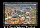 Seyfettin Sucu Yorumu İle Eski Urfa Türküleri