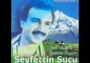 Seyfettin SUCU -- Zahidem