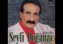 Seyfi Doğanay - Garip