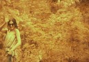 Seyhan Güler - Seyhan Güler Yorgun Yıllarım