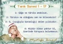 ŞEYH MUSTAFA İSMAİLMEŞHUR TARIK SURESİ...